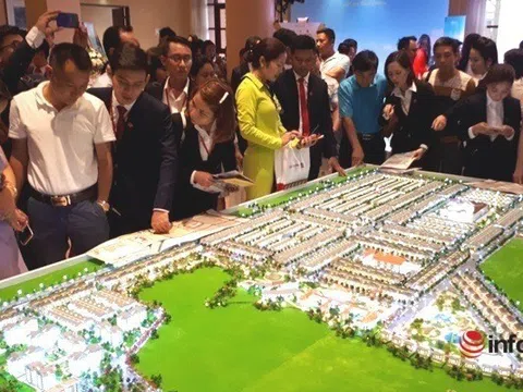 "Cò đất" bùng nổ gây náo loạn thị trường bất động sản