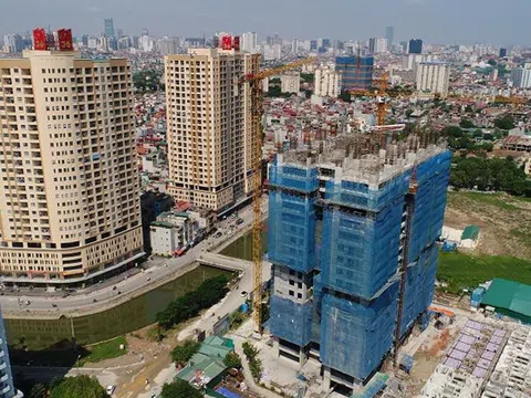 Bất động sản 24h: Nhà đầu tư "mắc cạn" vì mua đất rừng, đất nông nghiệp giá rẻ