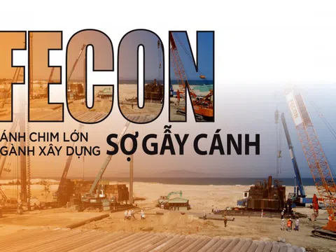 Chuyện về một "cánh chim" lạc đường!