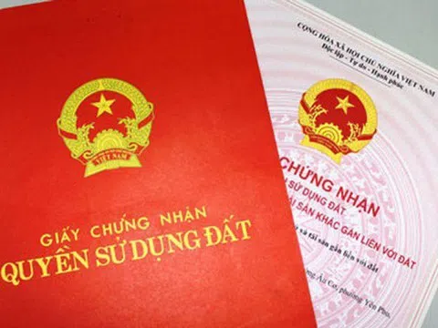 Đất rừng phòng hộ là gì, có được cấp sổ đỏ không?