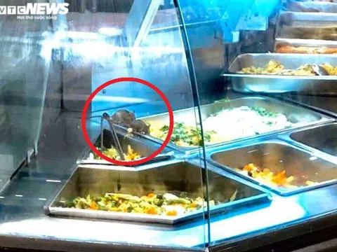Kinh hãi chuột bò lúc nhúc trên quầy thức ăn ở Aeon Mall Tân Phú TP.HCM