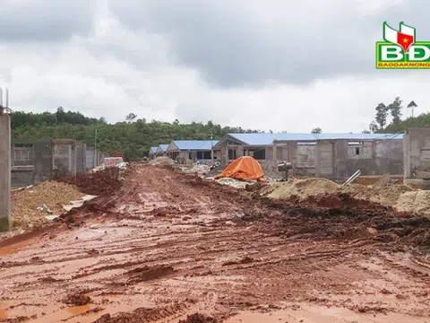 Đắk Nông: Công ty Chăn nuôi Quảng Sơn xây dựng trang trại không phép