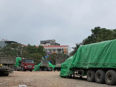 Hoàng Mai (Hà Nội): Ai đang quản lý, sử dụng sai mục đích hàng nghìn m2 đất tại phường Đại Kim