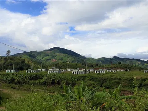 Huyện Đắk Glei, Kon Tum: Khu tái định cư hơn 15 tỷ thành nơi chăn thả gia súc