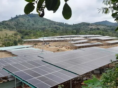 Đội lốt dự án nông nghiệp làm điện mặt trời