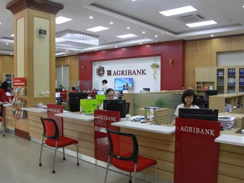 Agribank phát mại hàng trăm m2 đất của hãng dược ANPHACO