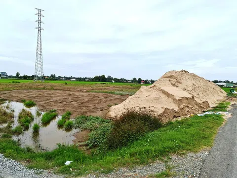 Ngang nhiên san lấp đất lúa để xây nhà máy