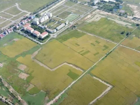Bắc Ninh: "Cò đất" rao bán rầm rộ Dự án Khu nhà ở thôn Đông Yên khi vẫn là đất ruộng