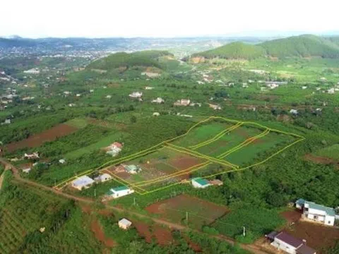 Xẻ đồi phân lô tràn lan ở Lâm Đồng: Hệ luỵ địa phương và khách hàng phải 'gánh'