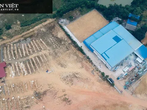 Phú Thọ: Chủ đầu tư xây dựng nhà máy rộng hàng nghìn m2 trên đất rừng sản xuất nhận sai