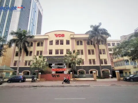 Tổng Công ty chè và UBND tỉnh Yên Bái đang lãng phí gần 100ha đất