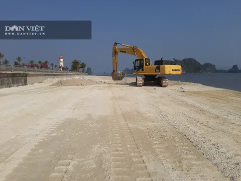 Quảng Ninh: Chủ đầu tư khu đô thị Phương Đông lấn chiếm trái phép đất bãi triều