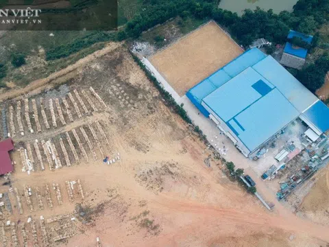Vụ xây nhà máy trên đất rừng sản xuất ở Phú Thọ: Xử phạt 57 triệu đồng, yêu cầu phục hồi nguyên trạng