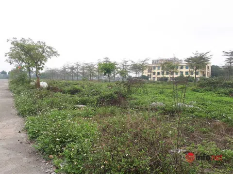 Hàng loạt dự án nhà ở, biệt thự vườn ở Hà Nội bị Sở TNMT kiến nghị thu hồi