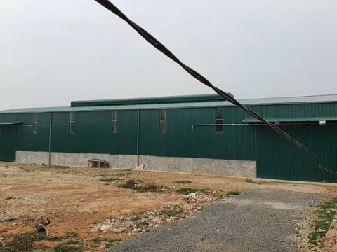 Sóc Sơn (Hà Nội): Công ty TNHH Phát Lộc Tài ngang nhiên xây dựng nhà xưởng không phép
