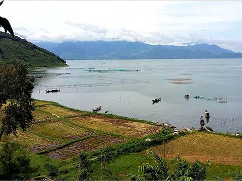 Thừa Thiên Huế: Một người dân bị phạt 400 triệu đồng vì chiếm 21.539 m2 đất phi nông nghiệp