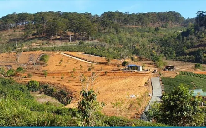 Lâm Đồng: Xuất hiện dự án ma Laputa Garden