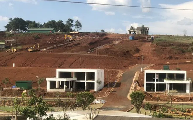 Lâm Đồng: Cận cảnh những đồi chè, cà phê biến thành hàng loạt "dự án" phân lô