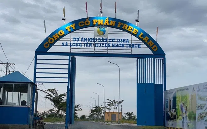 Trả công lý cho Star Beach và Free Land
