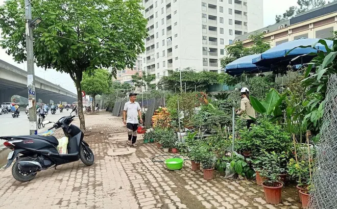 Thanh Trì - Hà Nội: “Xẻ thịt” đất dự án để kinh doanh