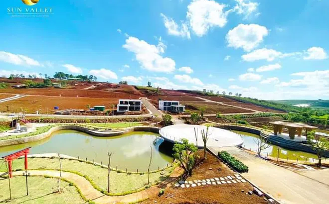 Lâm Đồng vào cuộc kiểm tra hàng loạt khu đất phân lô gắn mác dự án bất động sản nghỉ dưỡng