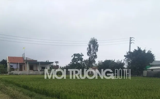 Nghệ An: Loạn xạ việc xây dựng trên đất nông nghiệp không bị xử lý