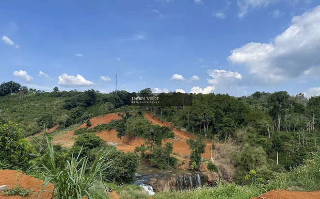 Đắk Nông: Ngang nhiên "xẻ thịt" đất nông nghiệp, huỷ hoại tài nguyên giữa lòng TP Gia Nghĩa