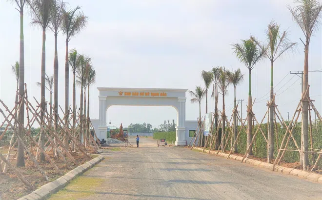 Bị môi giới lừa, khách hàng dự án Hamilton Garden cầu cứu UBND tỉnh Long An