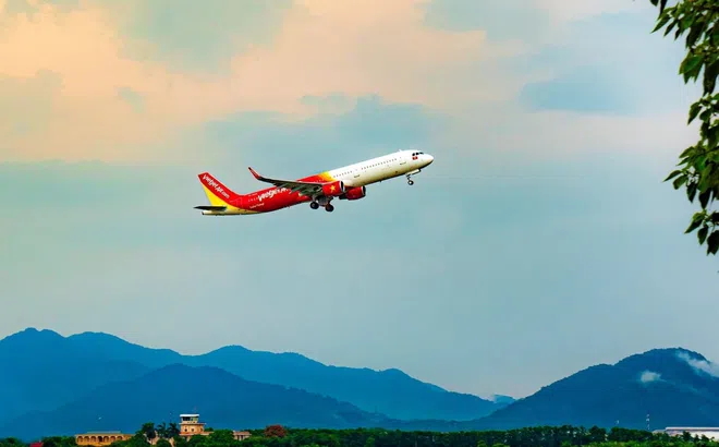 Vietjet chung tay đưa vải thiều Việt Nam xuất ngoại