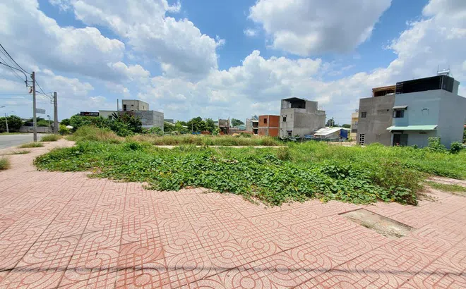 Thông tin mới vụ hàng trăm người mua đất hơn 10 năm chưa được giao sổ đỏ ở Bình Dương