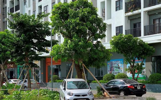 Thành phố Thanh Hóa: Hàng loạt chung cư thiếu chỗ để xe