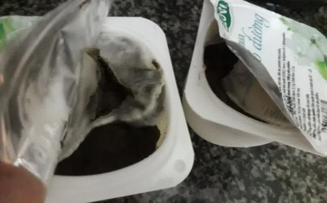 Sữa chua Elovi có đường bị mốc xanh dù vẫn còn hạn sử dụng