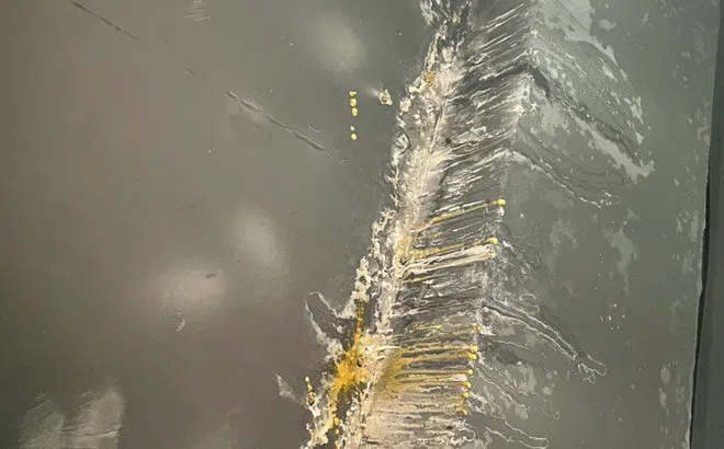 Lùm xùm kéo dài tại tòa N01-T8 khu Đoàn ngoại giao