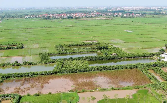 Những vi phạm đất đai tại xã Xuân Kiên, Xuân Hòa huyện Xuân Trường