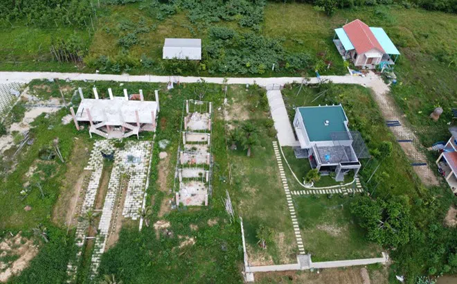 Kiến nghị xử lý các vi phạm tại dự án Go Green Farm