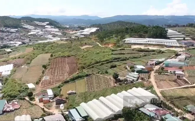 Dự án khu đô thị treo 12 năm, người dân lâm cảnh khốn cùng, sống lay lắt trong "nhà thỏ"