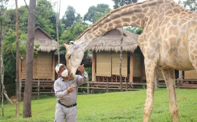Khám phá cuộc sống hoang dã “thời giãn cách” bên trong công viên bảo tồn lớn bậc nhất châu Á