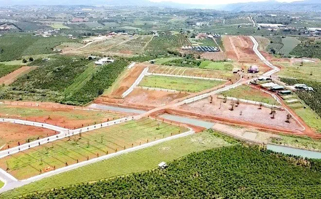 Kiến nghị chuyển cơ quan điều tra vụ phân lô bán nền “trá hình” ở Lâm Đồng