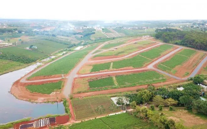 Chặn phân lô bán nền tràn lan, Lâm Đồng ra quy định mới về tách thửa đất