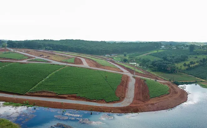 Công an điều tra 14 khu đất phân lô bán nền 'núp bóng' hiến đất làm đường ở TP Bảo Lộc