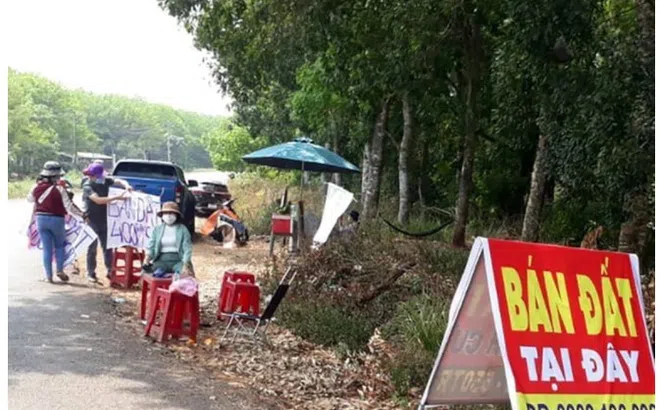 Liệu có xảy ra sốt đất trong năm 2022?