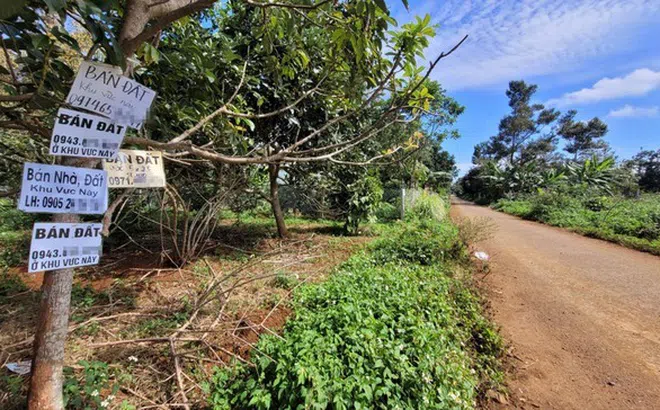 'Sốt' đất cuối năm, thực hư thế nào?