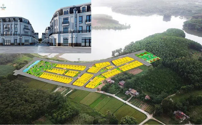 Nở rộ phân lô gắn mác dự án giữa cơn 'sốt đất' quay cuồng