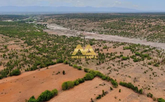 Mekong Nam Á - “ông trùm” phân lô hàng ngàn héc-ta đất nông nghiệp ở Bình Thuận