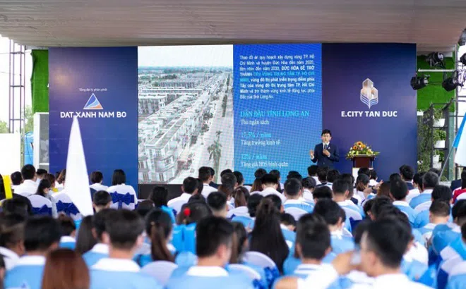 Xây dựng trái phép dự án E.City Tân Đức, Tập đoàn Tân Tạo bị xử phạt