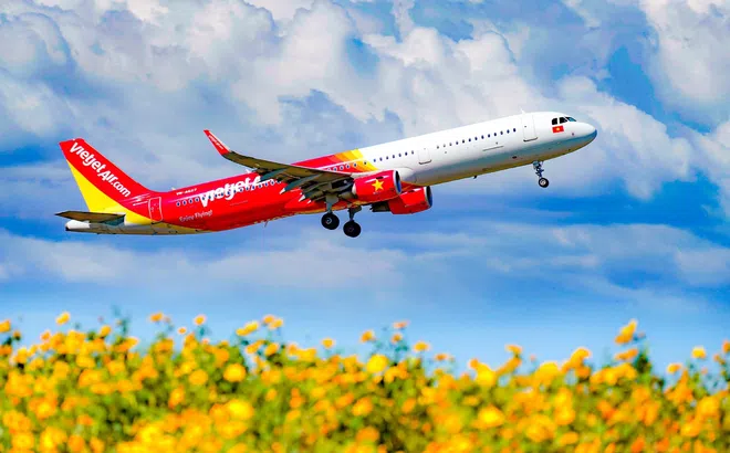 Vận chuyển mai, đào Tết Nguyên Đán 2022 cùng Vietjet