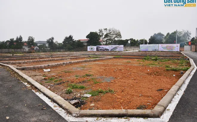 Diễn biến đầu năm 2022: Đất nền phía Bắc nóng, phía Nam lại trầm lắng