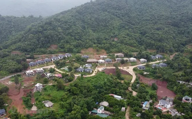 Đẩy mạnh việc đưa đất của các dự án “treo“ vào khai thác, sử dụng