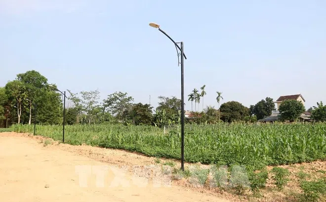 Phối hợp nghiên cứu đề xuất hướng giải quyết đấu giá đất cao bất thường