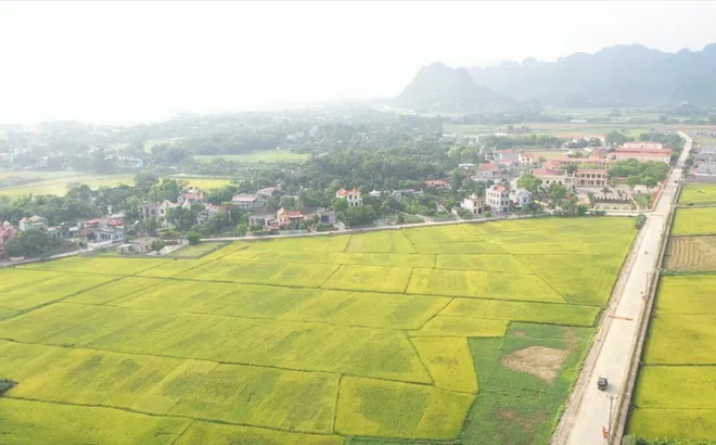 Ninh Bình: Hủy bỏ hơn 200 công trình, dự án do không hoàn thành thủ tục về đất đai